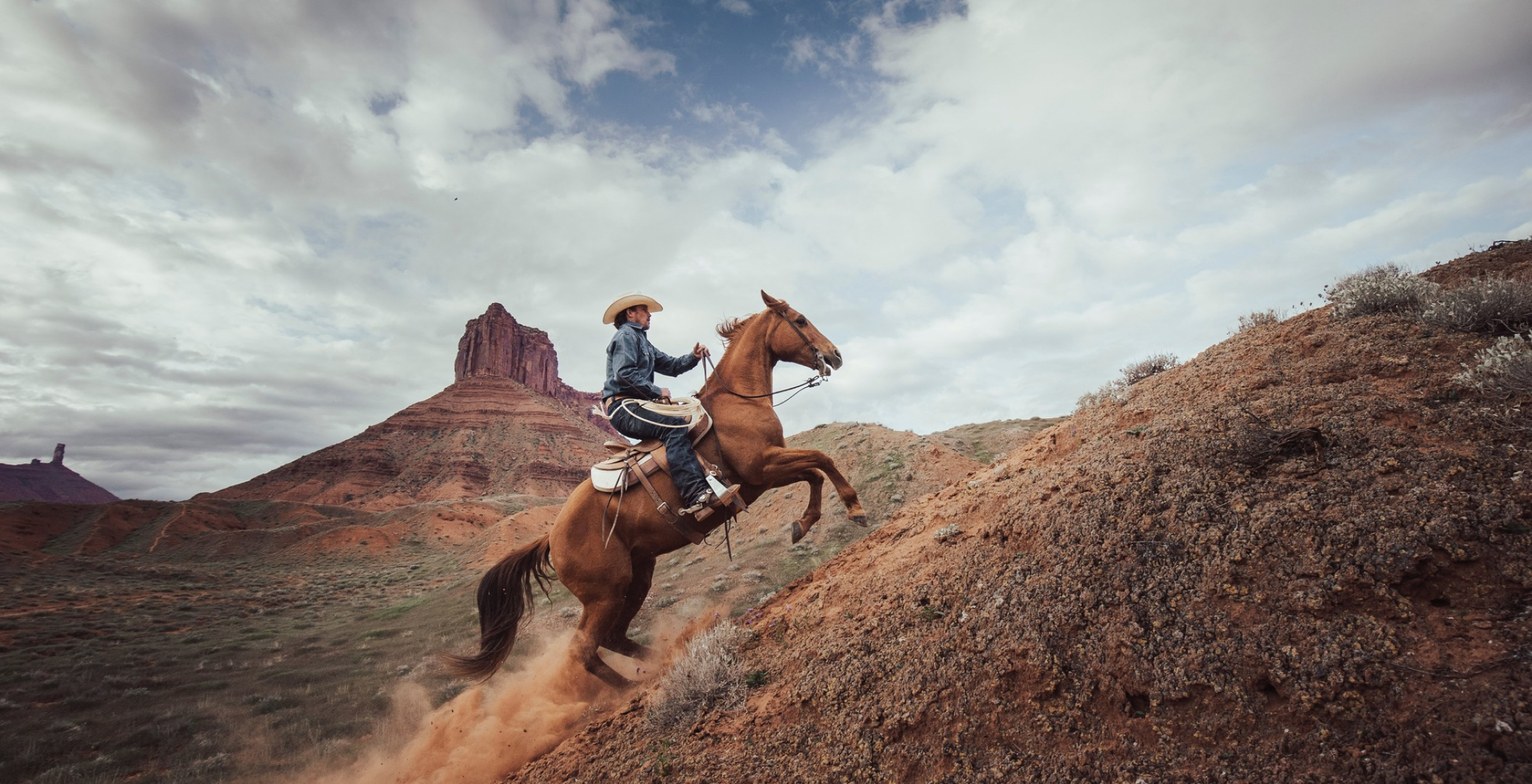 Stetson