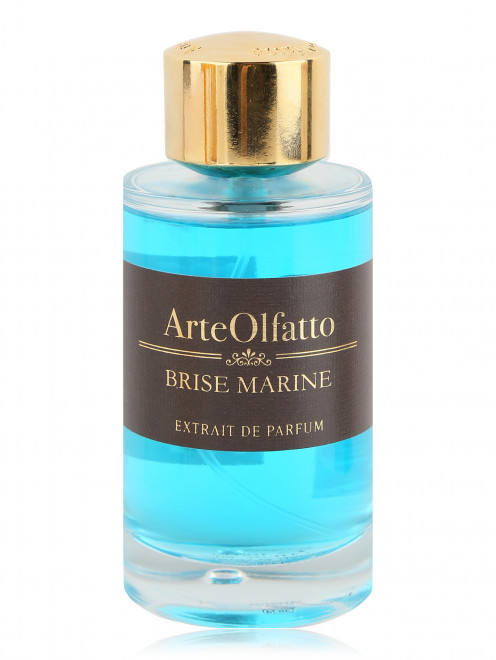 Духи 100 мл Brise Marine Brise Marine ArteOlfatto - Общий вид