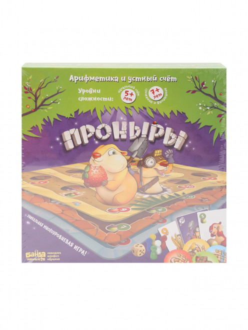 Настольная игра-Проныры Банда умников - Общий вид