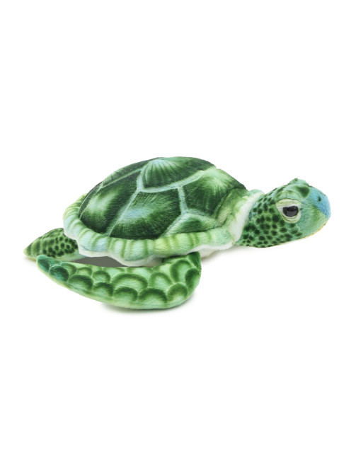 Зеленая черепаха Hansa - Общий вид
