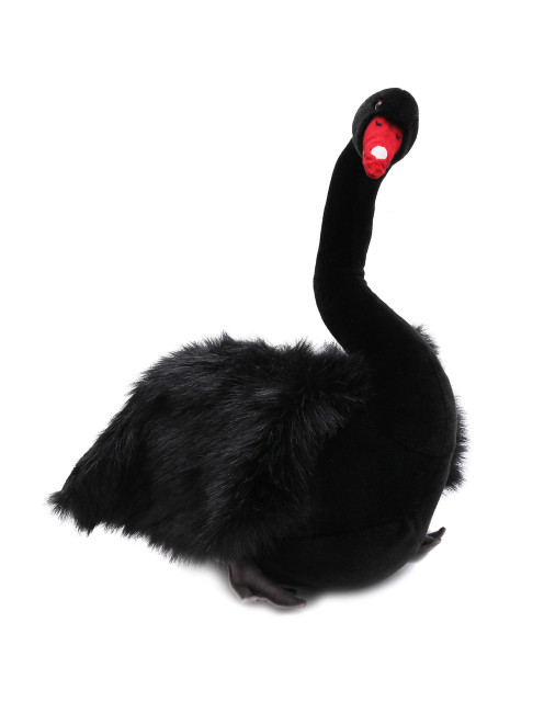 Лебедь черный Hansa - Общий вид